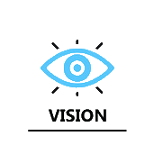 Vision